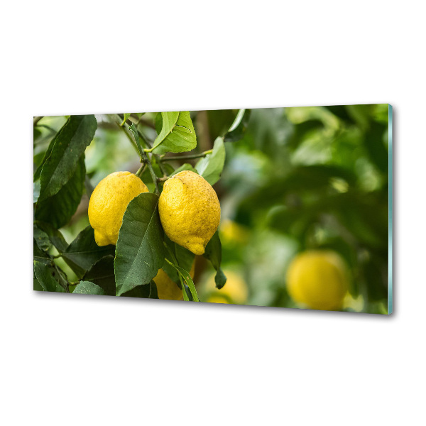 Cooker splashback Lemons on a tree