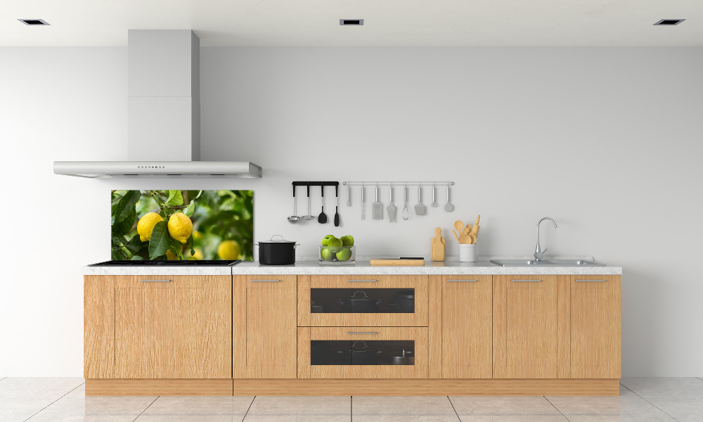 Cooker splashback Lemons on a tree