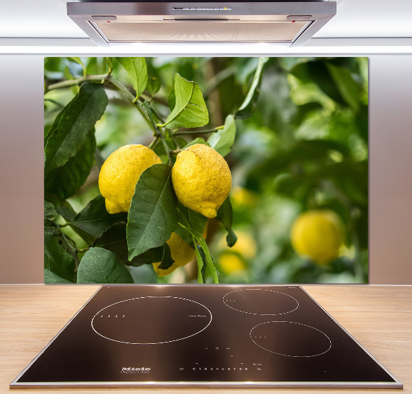 Cooker splashback Lemons on a tree