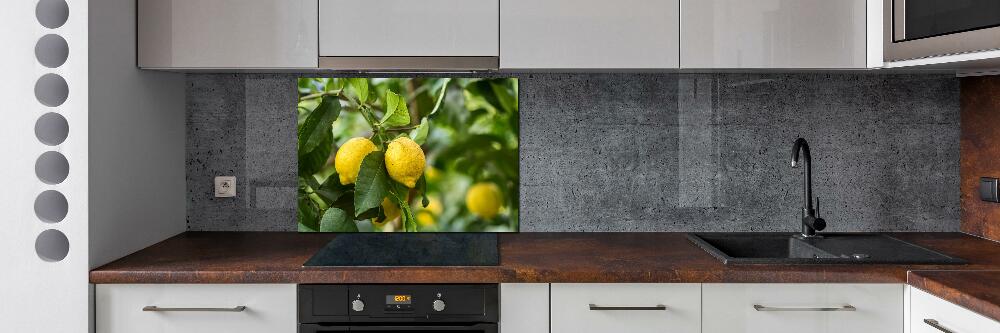 Cooker splashback Lemons on a tree