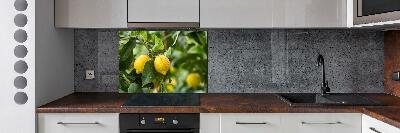 Cooker splashback Lemons on a tree