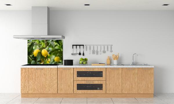 Cooker splashback Lemons on a tree