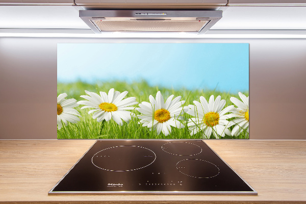 Cooker splashback Daisy