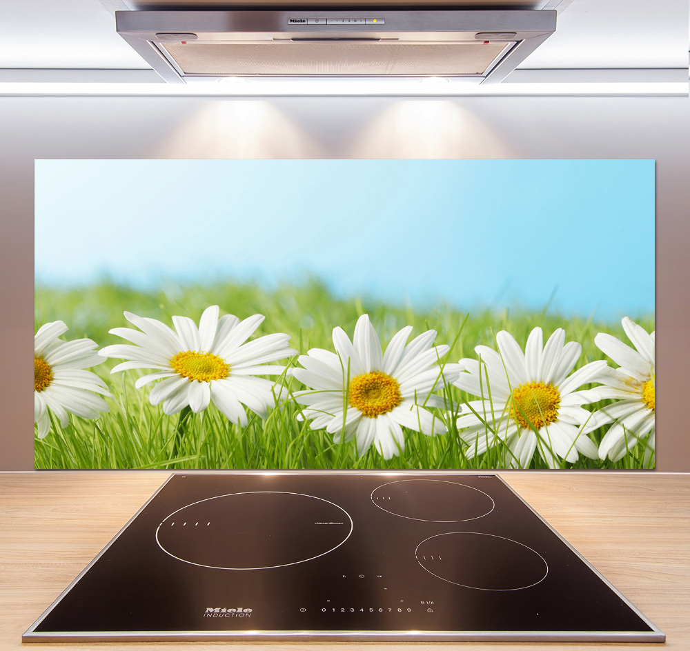 Cooker splashback Daisy