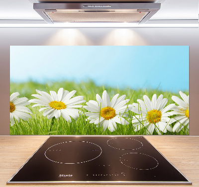 Cooker splashback Daisy