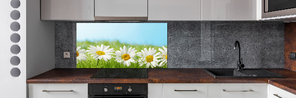 Cooker splashback Daisy