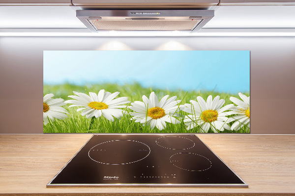 Cooker splashback Daisy