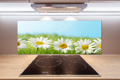 Cooker splashback Daisy