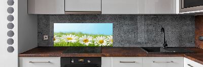 Cooker splashback Daisy