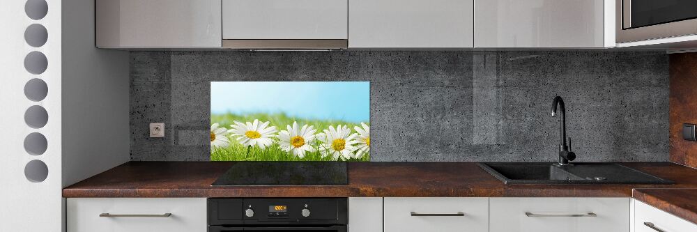 Cooker splashback Daisy