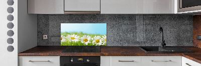 Cooker splashback Daisy