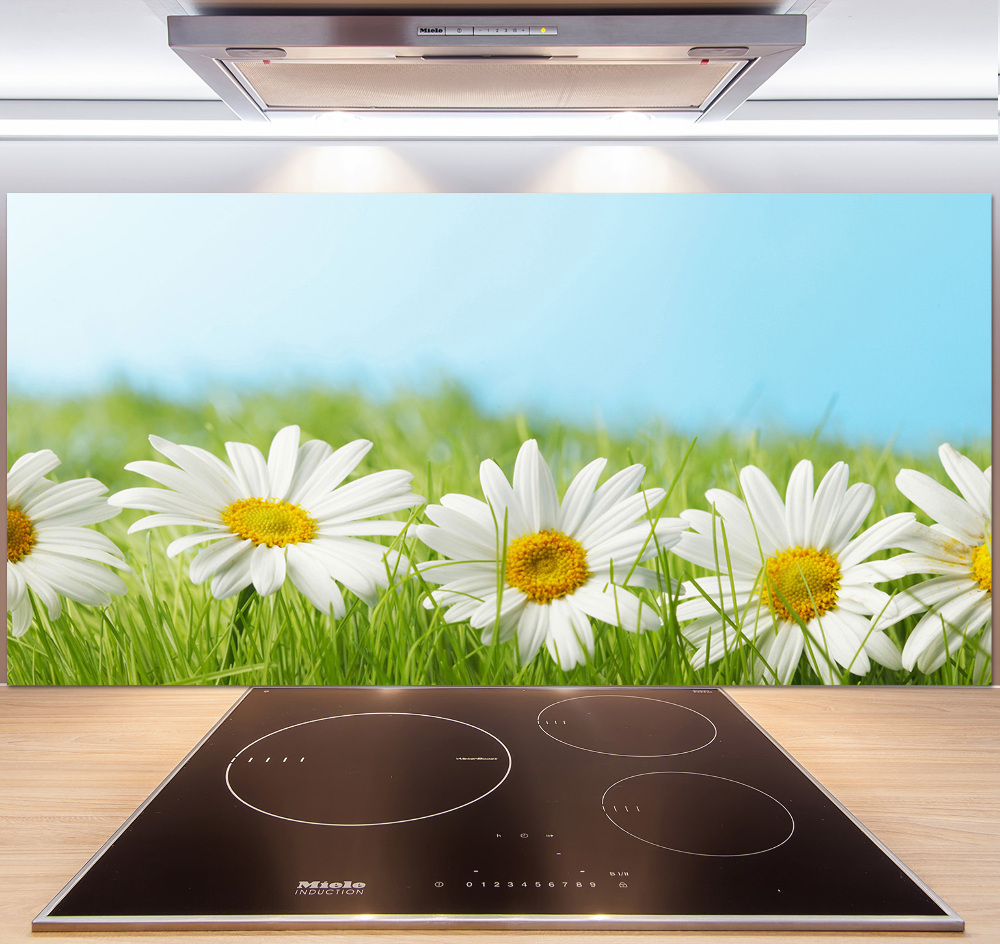 Cooker splashback Daisy