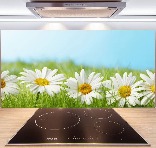 Cooker splashback Daisy