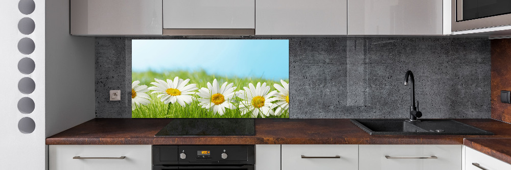 Cooker splashback Daisy