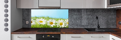 Cooker splashback Daisy