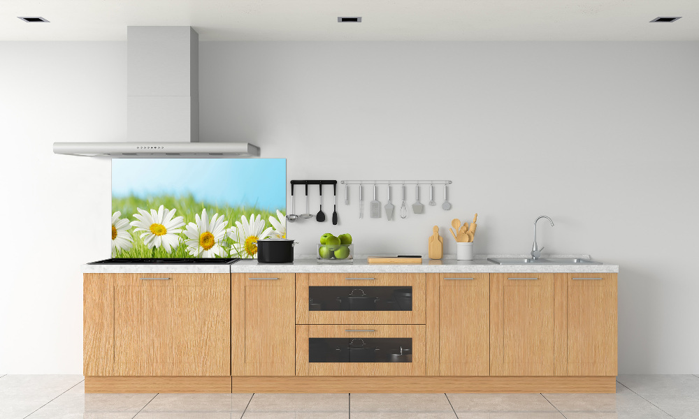 Cooker splashback Daisy