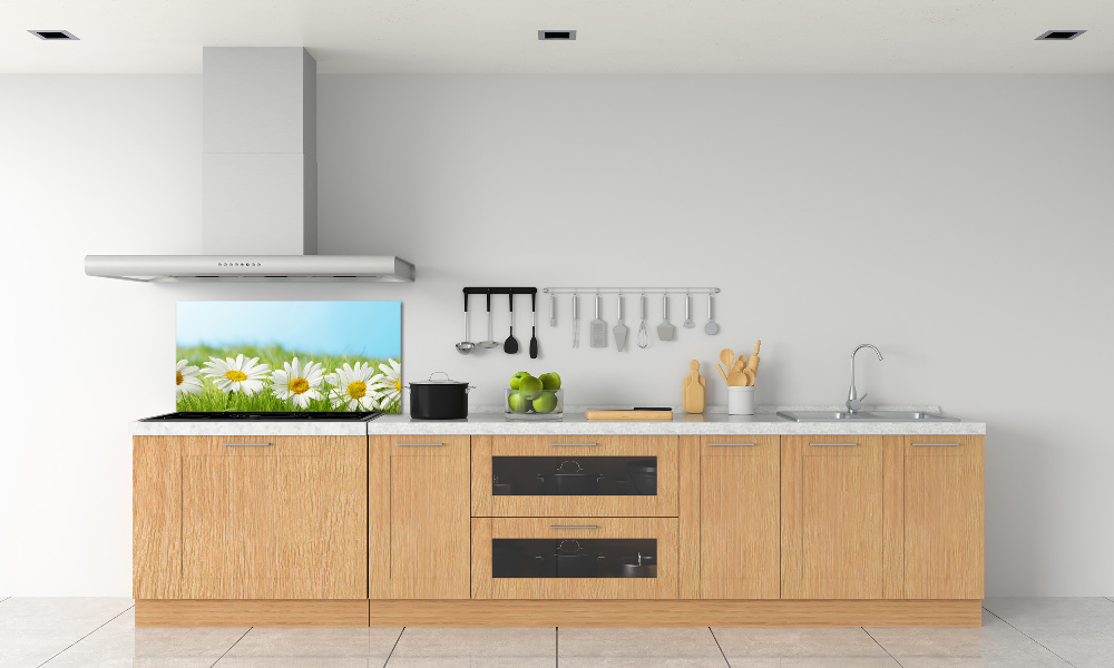 Cooker splashback Daisy