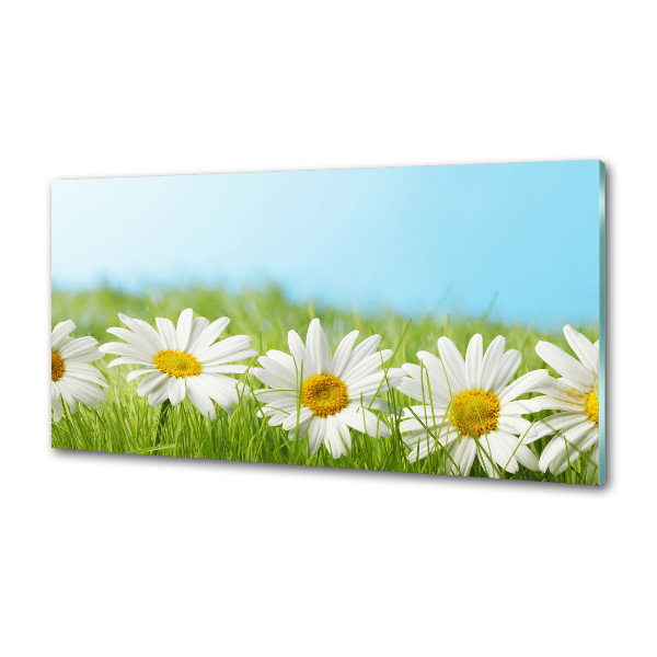 Cooker splashback Daisy