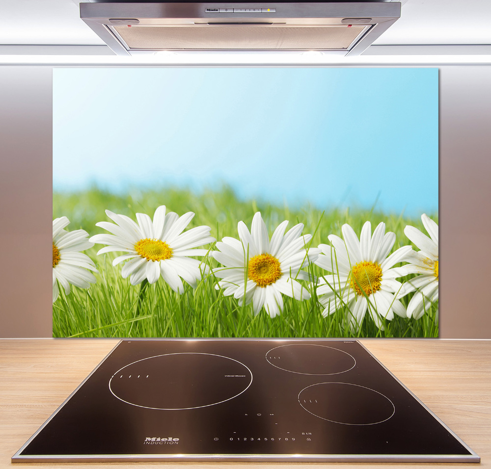 Cooker splashback Daisy