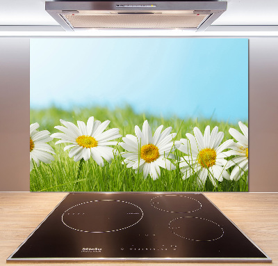 Cooker splashback Daisy