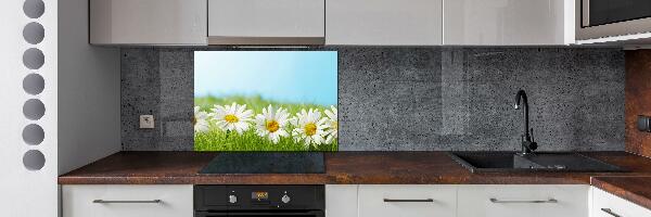 Cooker splashback Daisy