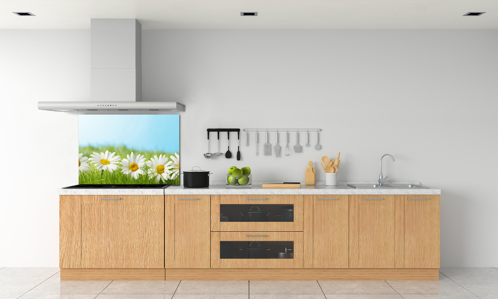 Cooker splashback Daisy