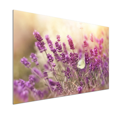 Kitchen wall panels Lavender