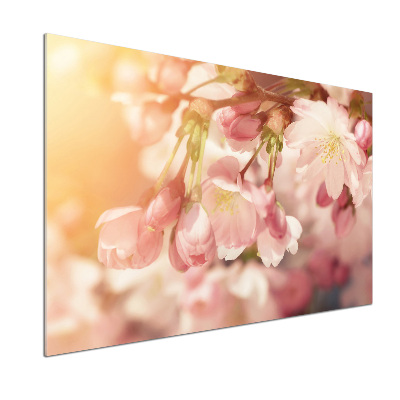 Kitchen wall panels Cherry blossoms