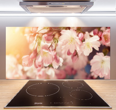 Kitchen wall panels Cherry blossoms