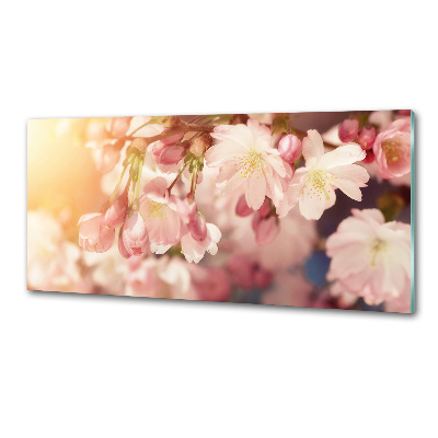 Kitchen wall panels Cherry blossoms