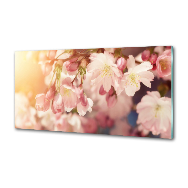 Kitchen wall panels Cherry blossoms