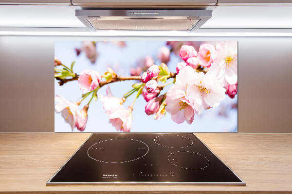 Kitchen splashback Cherry blossoms