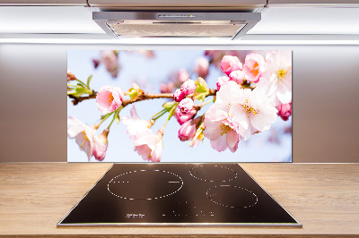 Kitchen splashback Cherry blossoms