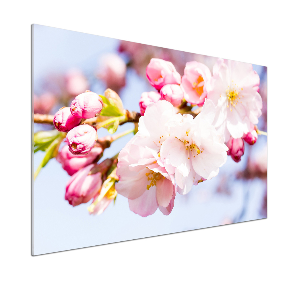 Kitchen splashback Cherry blossoms