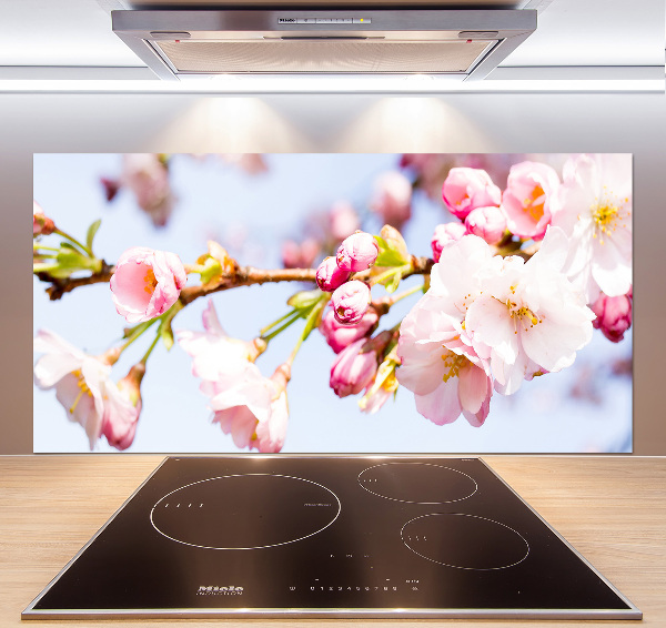 Kitchen splashback Cherry blossoms