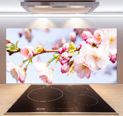 Kitchen splashback Cherry blossoms