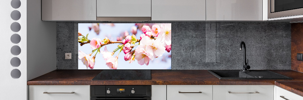 Kitchen splashback Cherry blossoms