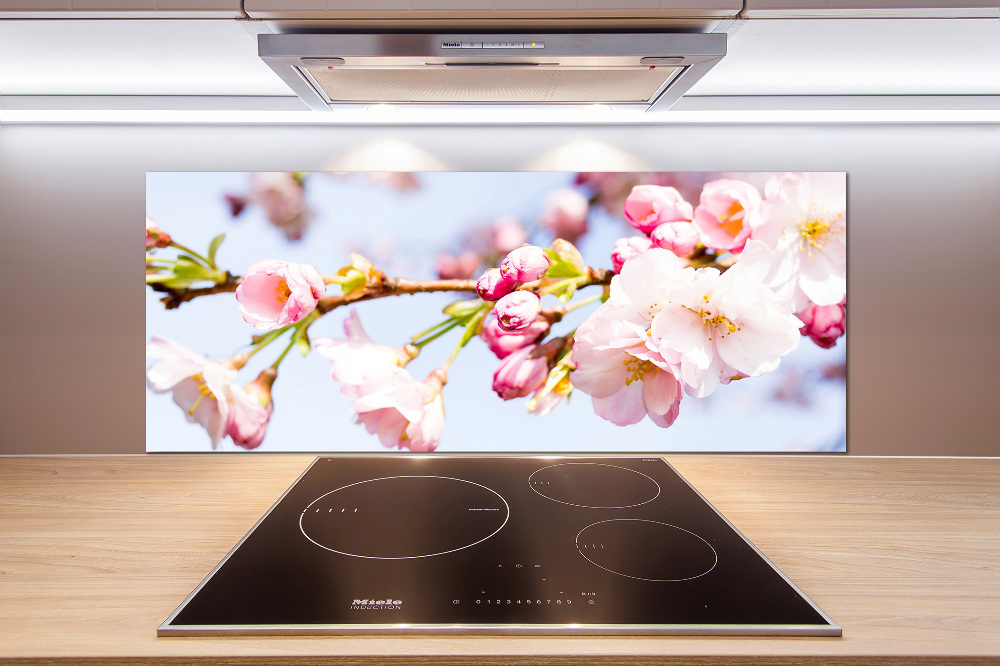 Kitchen splashback Cherry blossoms