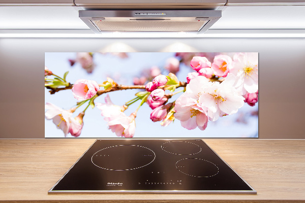 Kitchen splashback Cherry blossoms