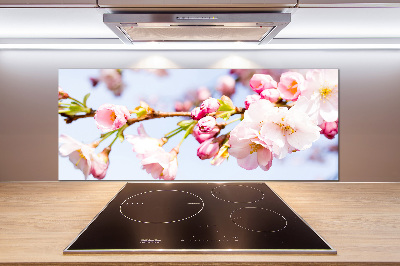 Kitchen splashback Cherry blossoms