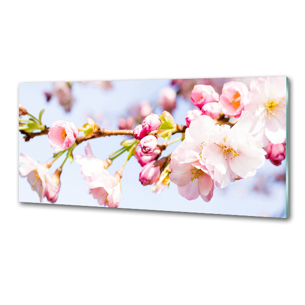 Kitchen splashback Cherry blossoms