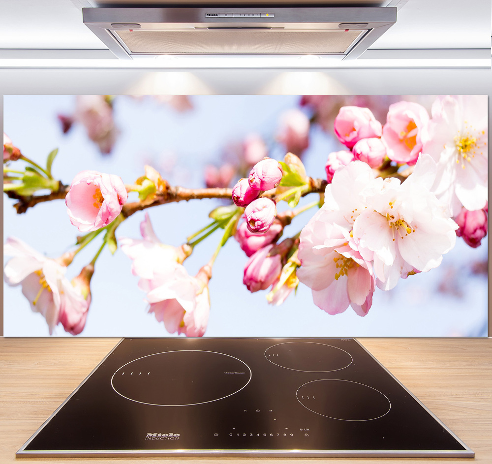 Kitchen splashback Cherry blossoms