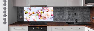 Kitchen splashback Cherry blossoms