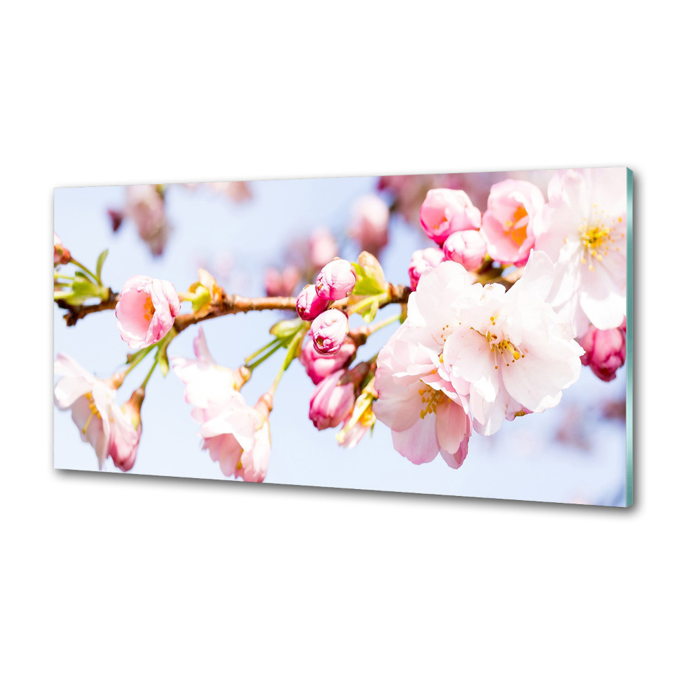 Kitchen splashback Cherry blossoms