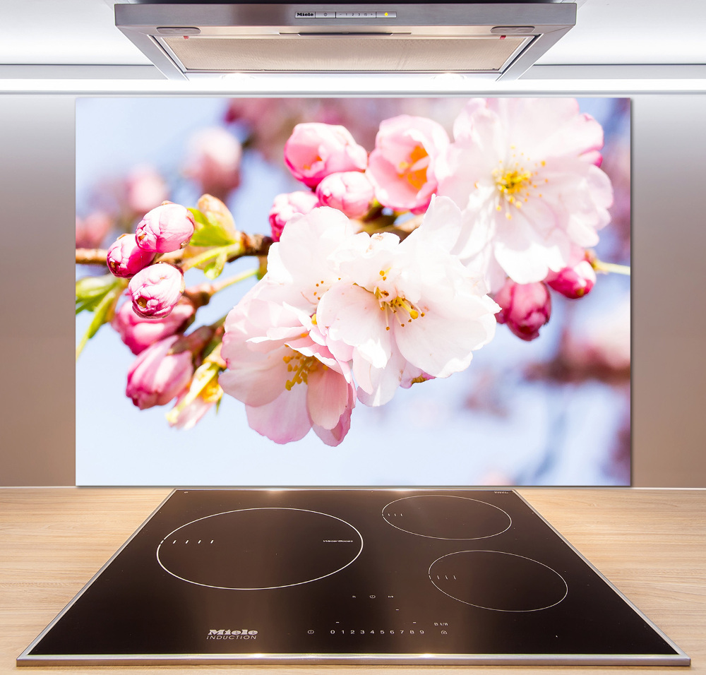 Kitchen splashback Cherry blossoms