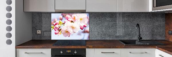 Kitchen splashback Cherry blossoms