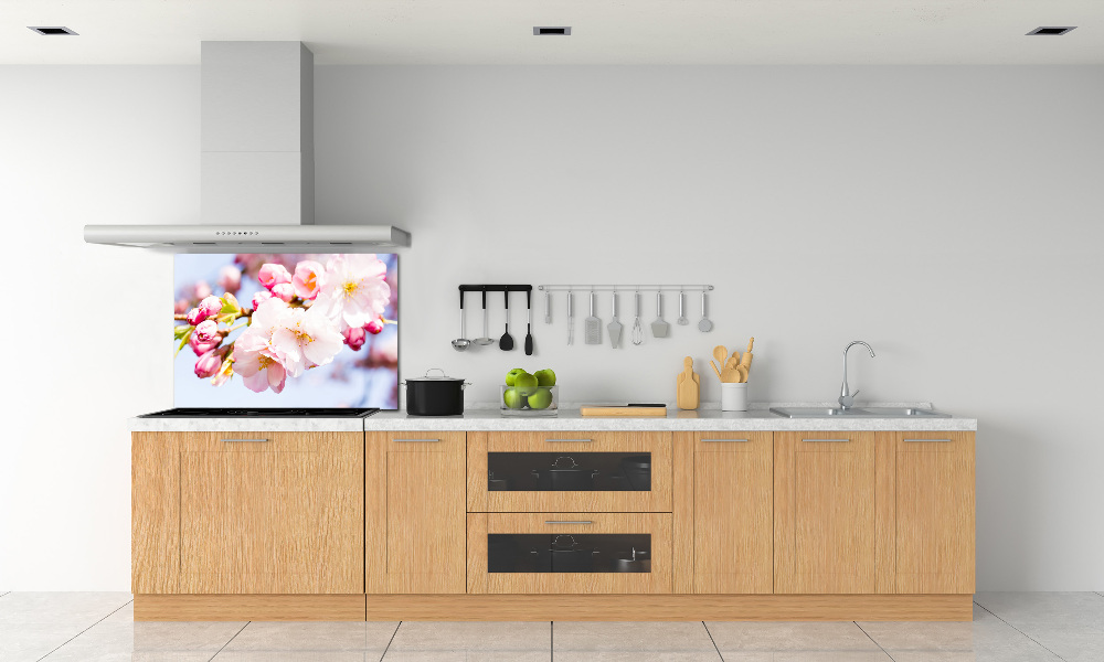 Kitchen splashback Cherry blossoms