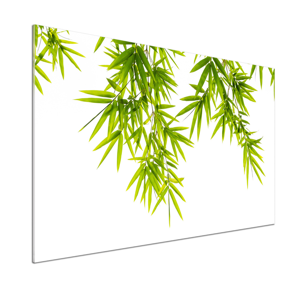 Kitchen splashback Bamboo leaves