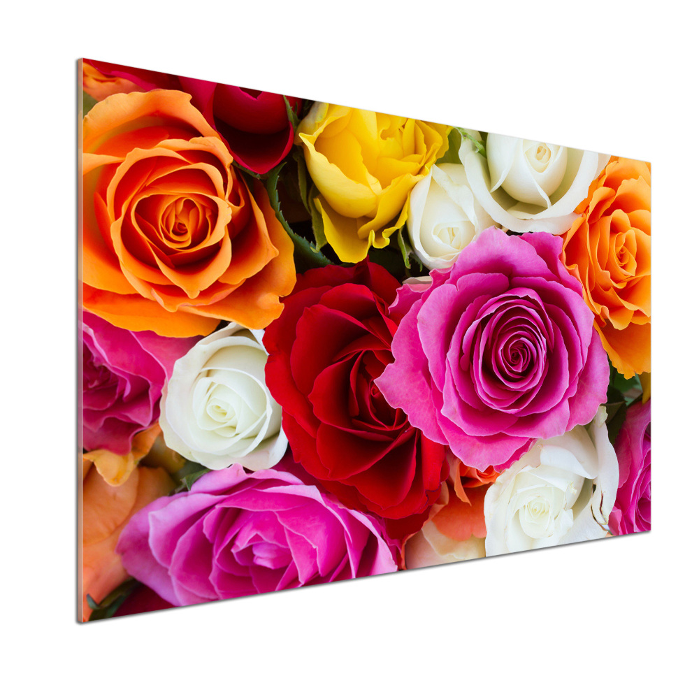 Kitchen splashback Colorful roses