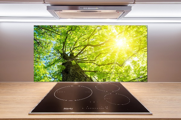 Kitchen splashback Chestnut in spring